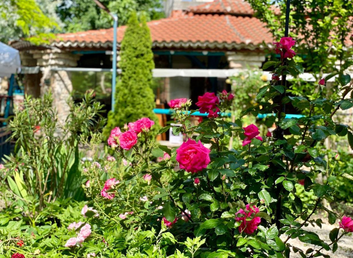 Bed and Breakfast Vamabel House Вама-Веке Екстер'єр фото