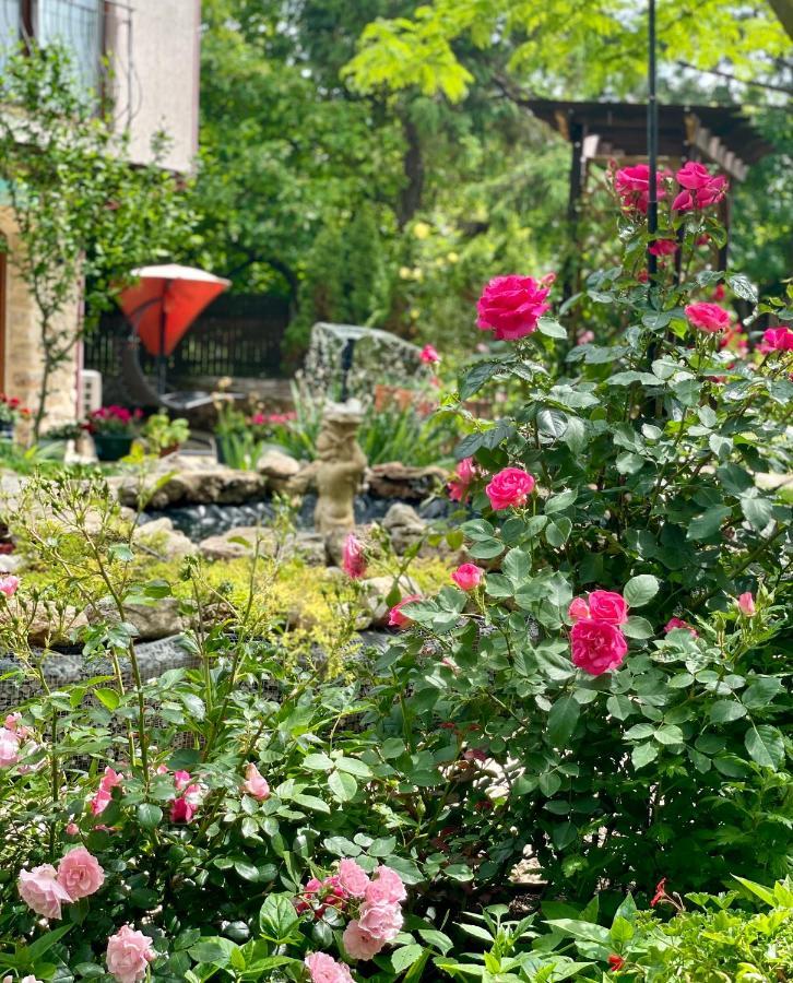 Bed and Breakfast Vamabel House Вама-Веке Екстер'єр фото