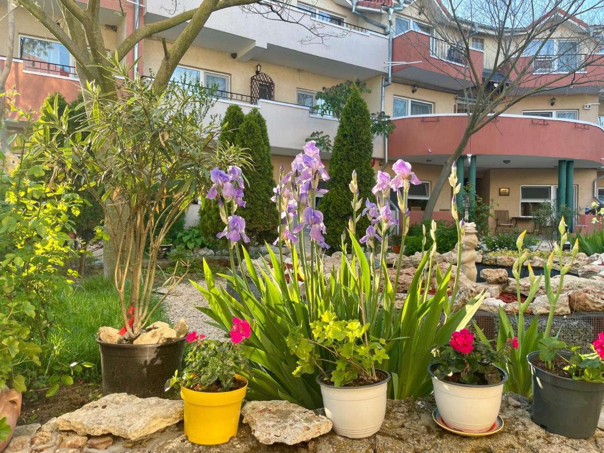 Bed and Breakfast Vamabel House Вама-Веке Екстер'єр фото